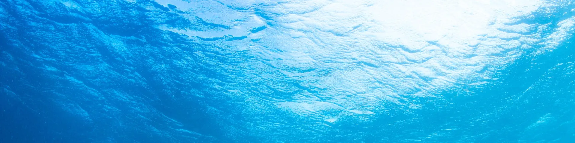 1piu1uguale3 サマーホリデイ