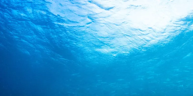 1piu1uguale3 サマーホリデイ