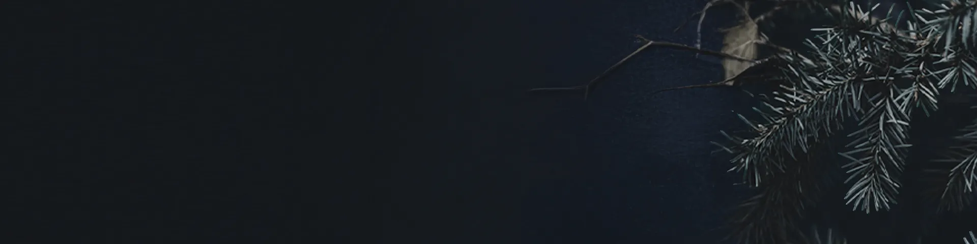 1piu1uguale3 ギフトセレクション