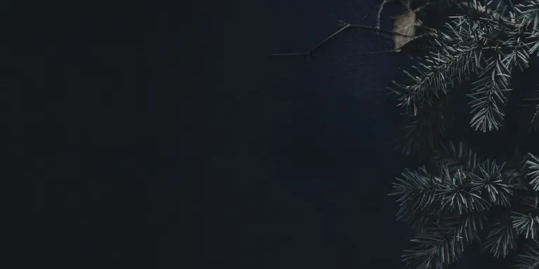 1piu1uguale3 ギフトセレクション